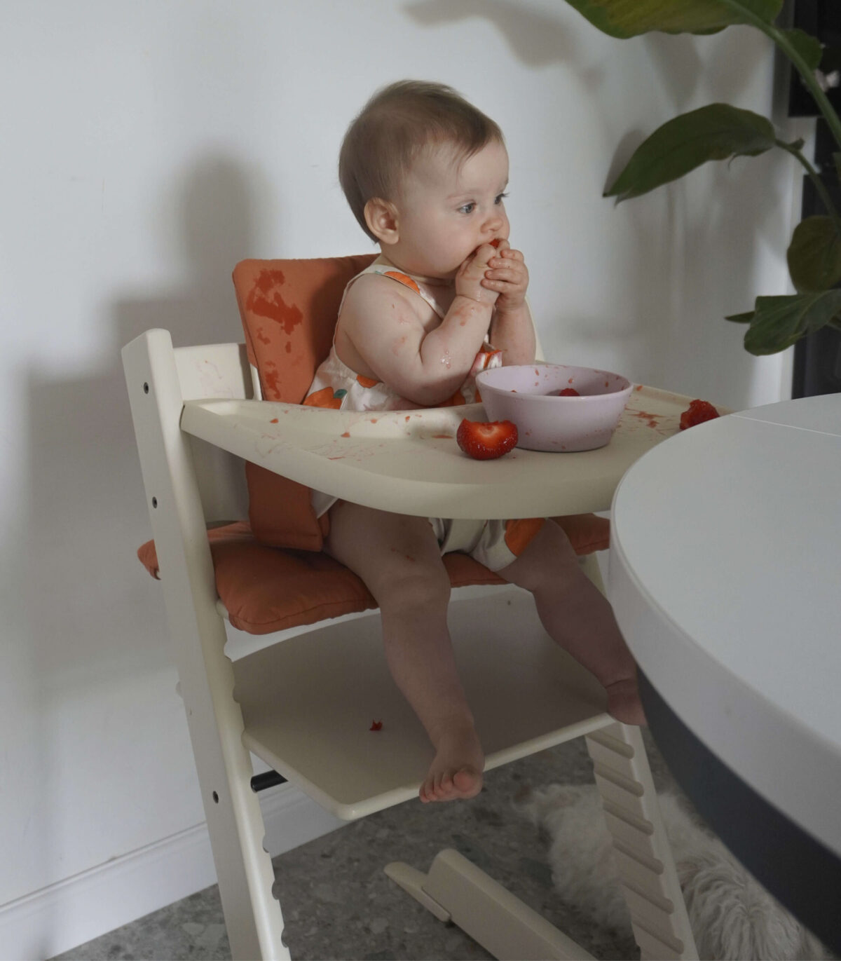 TRIPP TRAPP BabySetԱ VaniWhite - Image 2